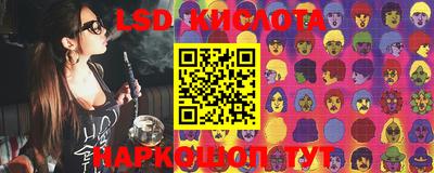 шишки Лесосибирск