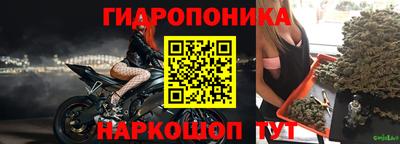 шишки Лесосибирск