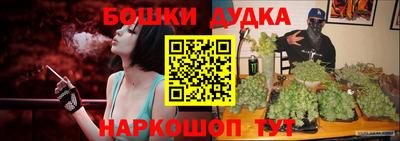 шишки Лесосибирск