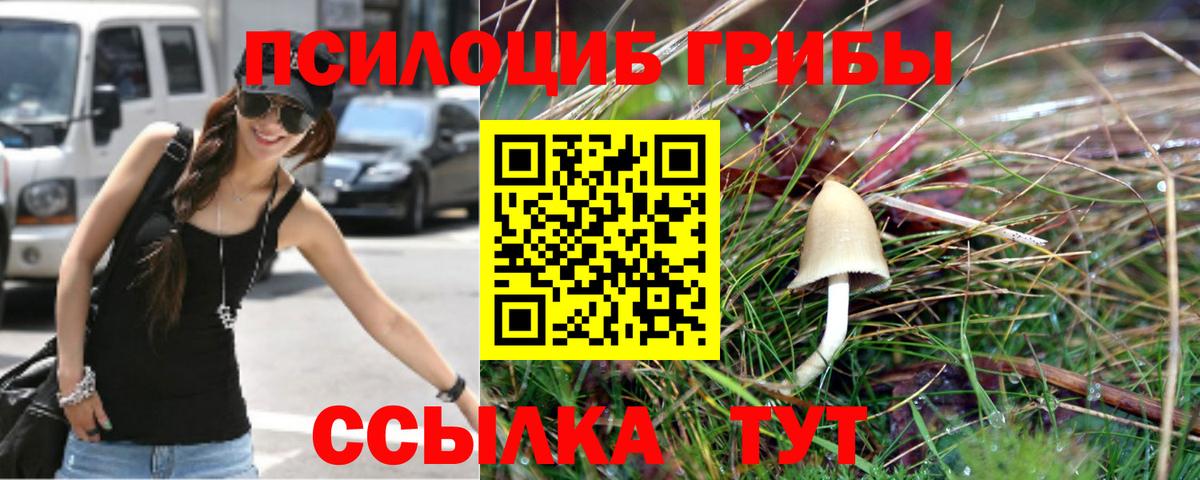 Псилоцибиновые грибы мицелий Бугуруслан