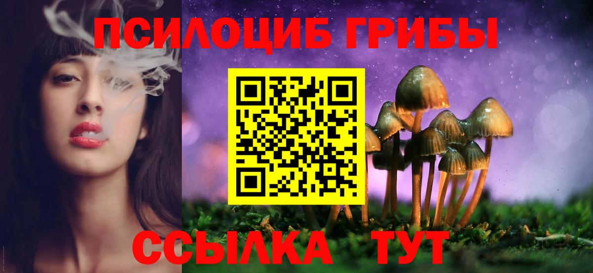 Бугуруслан  Псилоцибиновые грибы ЛСД  Вход с VPN 