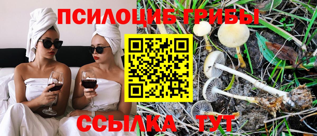 Марихуана  ГАШ  Бугуруслан  Codein  Экстази  Меф МЯУ МЯУ кристаллы  ГАШИШ  Вход с VPN  COCAIN 